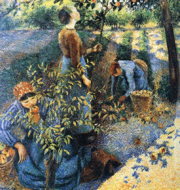 Apple picking, Camille Pissarro